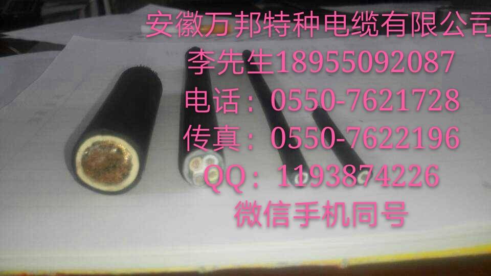 安徽萬邦特種電纜,CJPJ85/SC船用輻照交聯電力電纜
