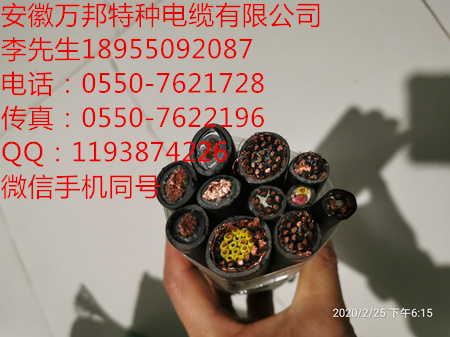 安徽萬邦特種電纜,型號CEFR 1*0.5 H07V-K